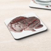 Dessous-de-verre Artères du cerveau 3 (Côté gauche)