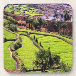 Dessous-de-verre Asie, Chine, Yunnan, Honghe.  Terrasses de riz prè