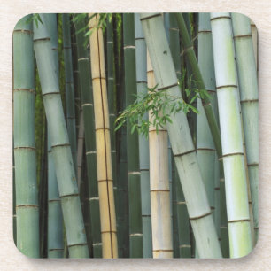 Dessous-de-verre Asie, Japon, Kyoto, Arashiyama, Sagano, Bambou