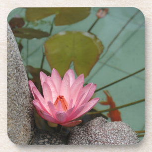 Dessous-de-verre Asie, Viêt Nam. Nénuphar dans un étang de temple