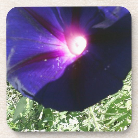 Dessous-de-verre Assez floral (Devant)
