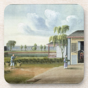 Dessous-de-verre Assortissant le thé (la semaine sur le papier)