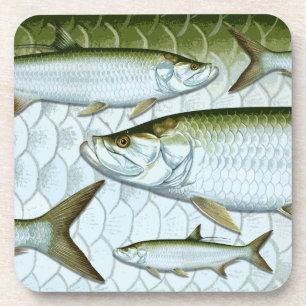Dessous de verre atlantiques de tarpon