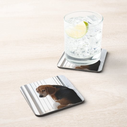 Dessous-de-verre Attitude beagle (Côté Droit)