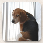 Dessous-de-verre Attitude beagle (Devant)