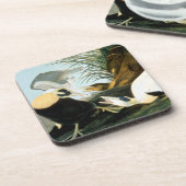 Dessous-de-verre Audubon : Canard d'Eider (Côté gauche)