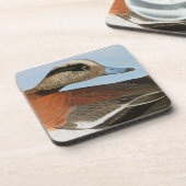 Dessous-de-verre Audubon : Canard siffleur (Côté gauche)