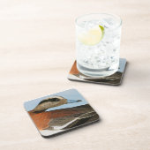 Dessous-de-verre Audubon : Canard siffleur (Côté Droit)