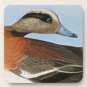 Dessous-de-verre Audubon : Canard siffleur