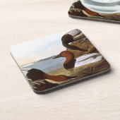 Dessous-de-verre Audubon : Canvasback (Côté gauche)