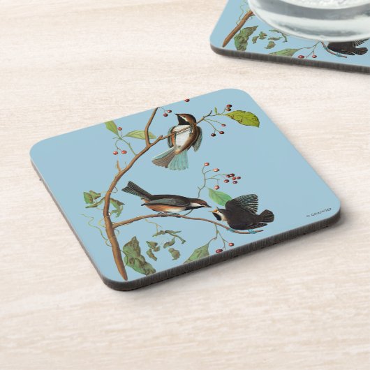 Dessous-de-verre Audubon : Chickadee (Côté gauche)