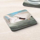 Dessous-de-verre Audubon : Cygne de trompettiste (Côté gauche)