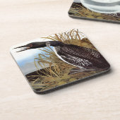 Dessous-de-verre Audubon : Dingue commun (Côté gauche)