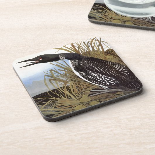 Dessous-de-verre Audubon : Dingue commun (Côté gauche)