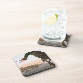 Dessous-de-verre Audubon : Double Cormorant crêté (Côté Droit)