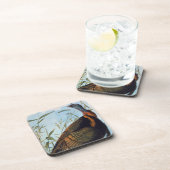 Dessous-de-verre Audubon : La Turquie sauvage (Côté Droit)