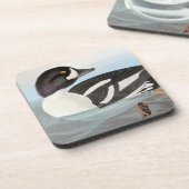 Dessous-de-verre Audubon : Le Goldeneye de la brouette (Côté gauche)