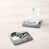 Dessous-de-verre Audubon : Le Goldeneye de la brouette (Côté Droit)