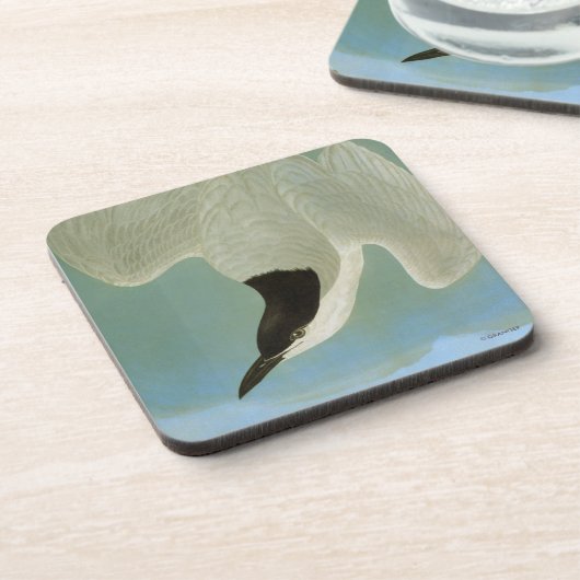 Dessous-de-verre Audubon : Sterne Mouette-Affichée (Côté gauche)