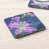 Dessous-de-verre Australie, Territoire du Nord, Darwin (Côté gauche)