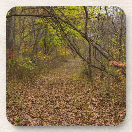 Dessous-de-verre Autoroute d'automne (Devant)