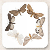 Dessous de verre avec l'anneau de papillon (Devant)