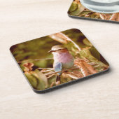 Dessous-de-verre Aviaire (Côté gauche)