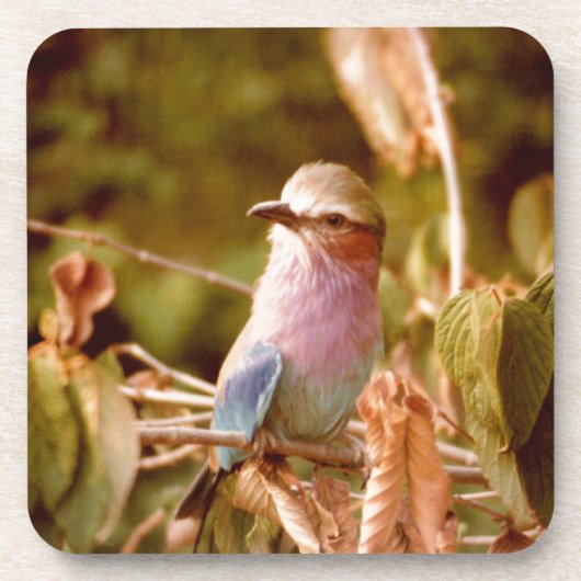 Dessous-de-verre Aviaire (Devant)