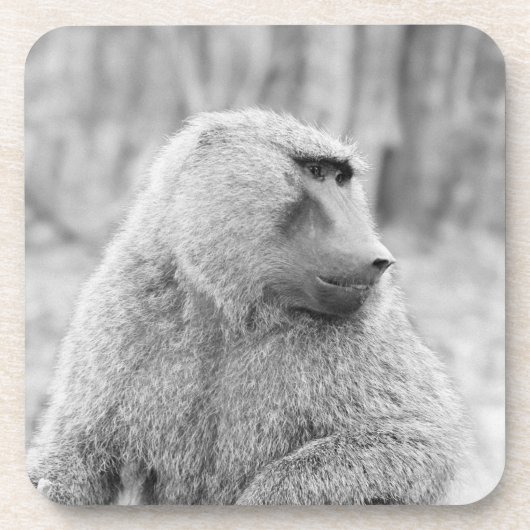 Dessous-de-verre Babouin africain (Devant)