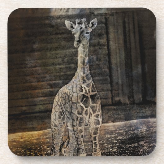 Dessous-de-verre Baby Giraffe (Devant)