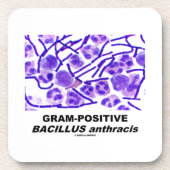 Dessous-de-verre Bacillus anthracis grampositif (bactéries) (Devant)