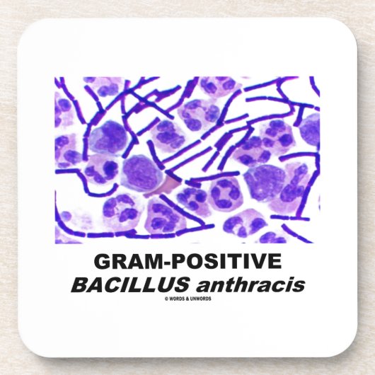 Dessous-de-verre Bacillus anthracis grampositif (bactéries) (Devant)