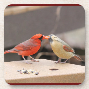 Dessous-de-verre Baiser les cardinaux