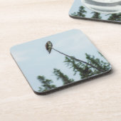 Dessous-de-verre Balbuzard pêcheur 9028 (Côté gauche)