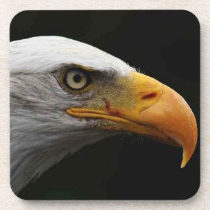 Dessous-de-verre Bald Eagle