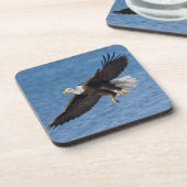 Dessous-de-verre Bald eagle in flight (Côté gauche)