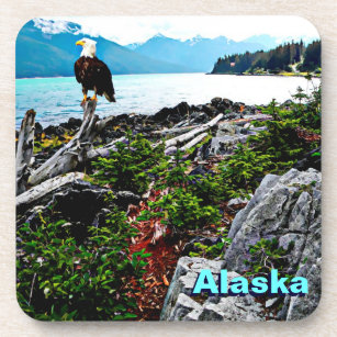 Dessous-de-verre Bald Eagle Sur La Côte De L'Alaska