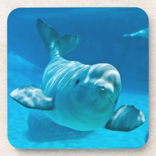 Dessous-de-verre Baleine de beluga