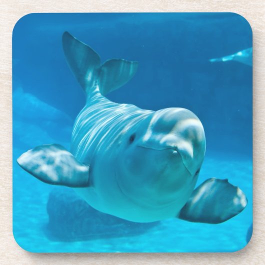 Dessous-de-verre Baleine de beluga (Devant)