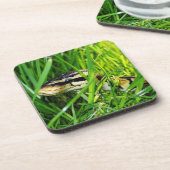 Dessous-de-verre Ball Python serpent dans l'herbe (Côté gauche)