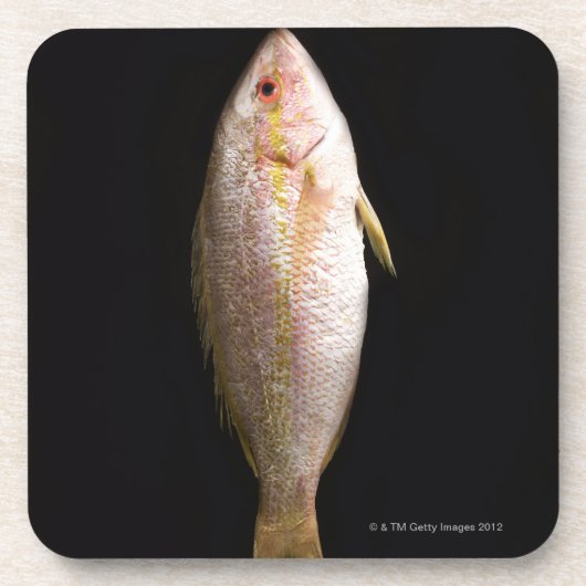 Dessous-de-verre Bar de mer entier (Devant)