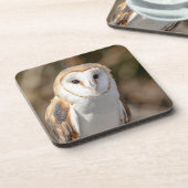 Dessous-de-verre Barn Owl (Côté gauche)