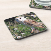 Dessous-de-verre Barn Owl (Côté gauche)