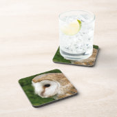 DESSOUS-DE-VERRE BARN OWL (Côté Droit)