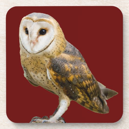 Dessous-de-verre Barn Owl (Devant)