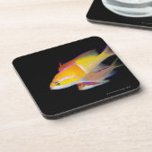 Dessous-de-verre Barre blanche Anthias (Côté gauche)