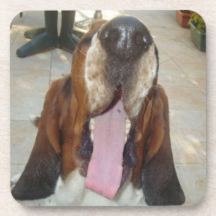 Dessous-de-verre basset hound bâillant