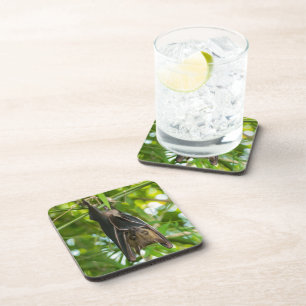 Dessous-de-verre Batte