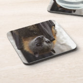 Dessous-de-verre Batte australienne (Côté gauche)