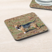 Dessous-de-verre Beagle (Côté gauche)